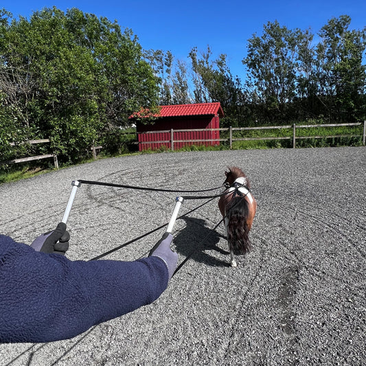 Long lines with smal pony?