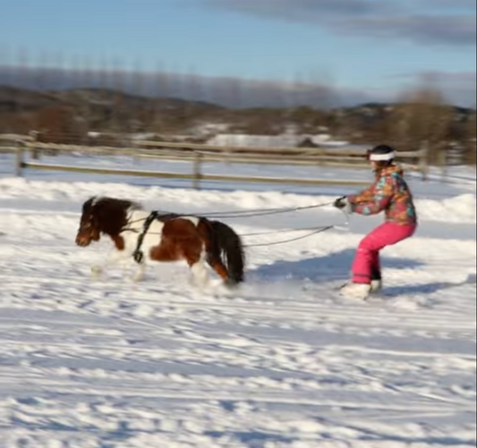 What's it like when you try skijoring handles for the first time?