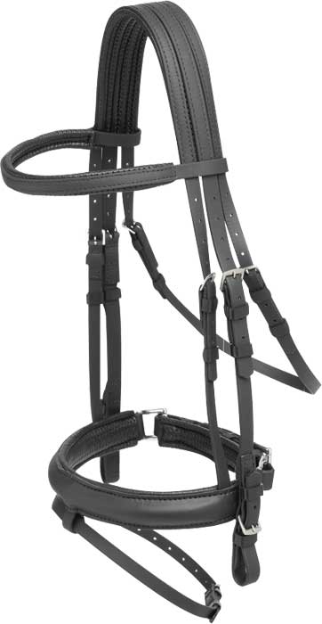 Dressage Bridle Zilco